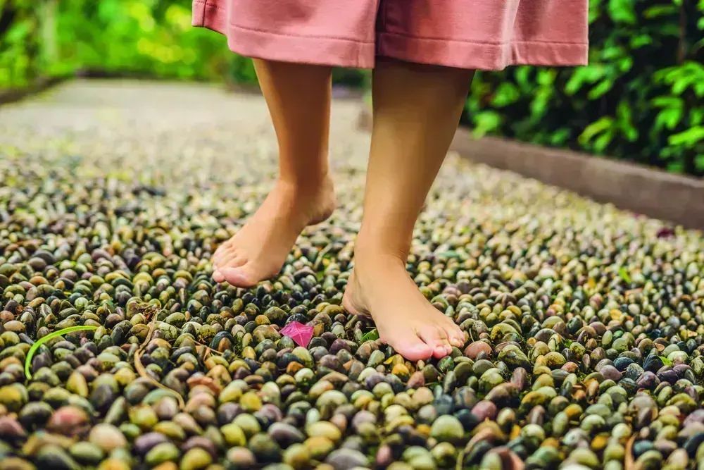 Bare feet walking across the pebbled surface of the reflexology path